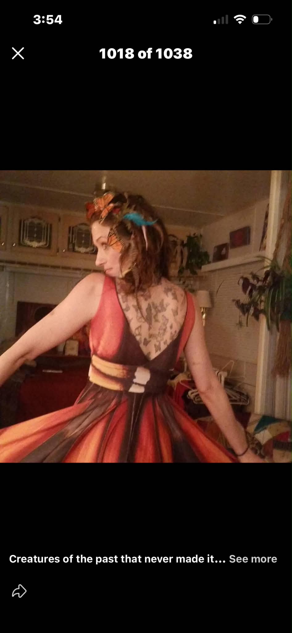 Back view of Ina's monarch butterfly dress